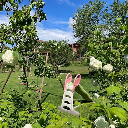 Bb10 Oasi Pensionat Arona Exteriör bild